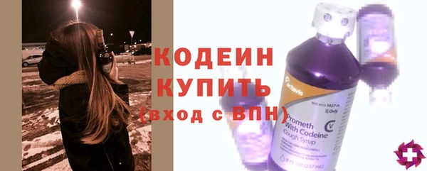 индика Надым