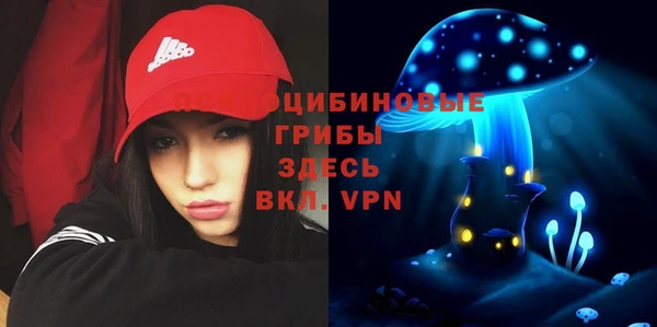 ГАЛЛЮЦИНОГЕННЫЕ ГРИБЫ Белоозёрский