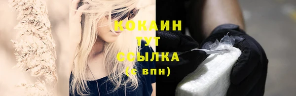 трава Наволоки