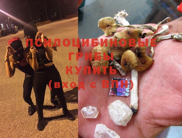 дурь Белокуриха