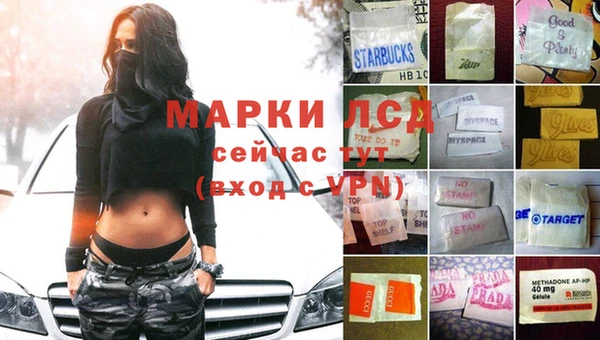ГАЛЛЮЦИНОГЕННЫЕ ГРИБЫ Белоозёрский