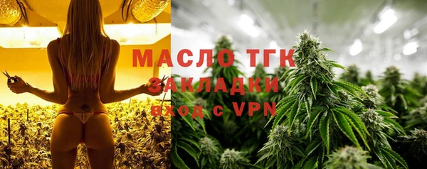 СК Богородск